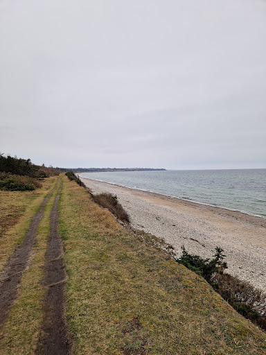 Parkeringsplads Sonnerup Skov