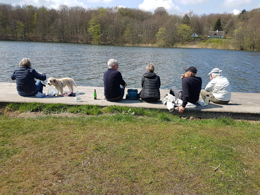 Parnasvej Parking