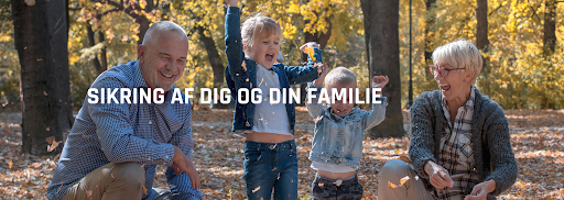 Pension for selvstændige, Fordelspension