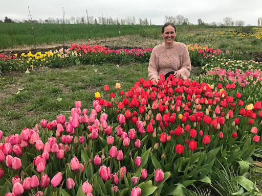 Pluk selv blomster