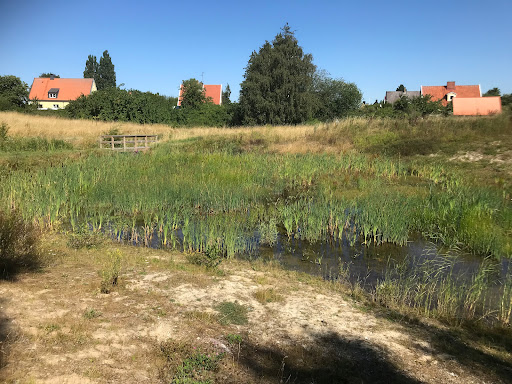 Sallerupsvägens våtmark