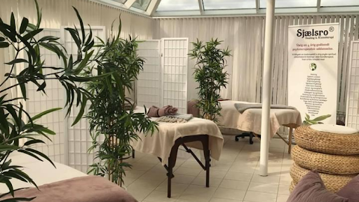 Sjælsro REG. Kunst- og psykoterapeut skole