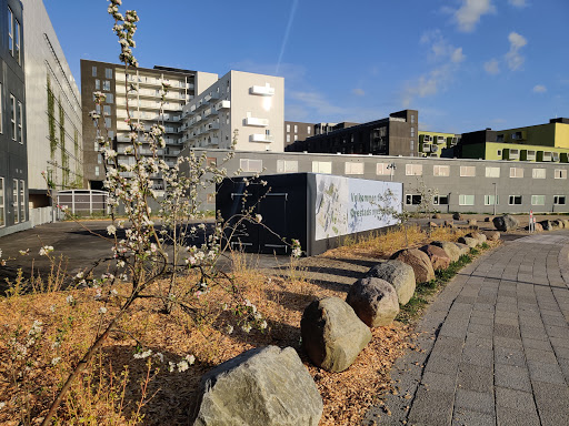 Skolen på Hannemanns Allé