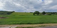 Sonnerupvej (Oddenvej)