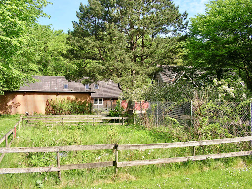 Stjernehøj