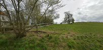 Tømmerup heste