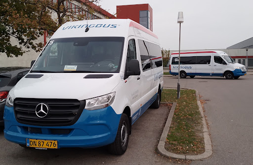 Vikingbus