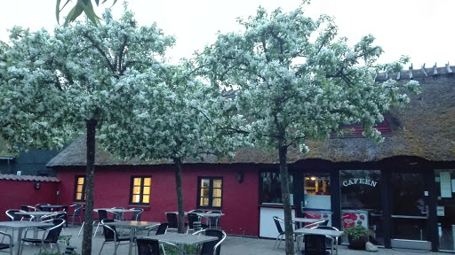 Cafeen i Ordrup