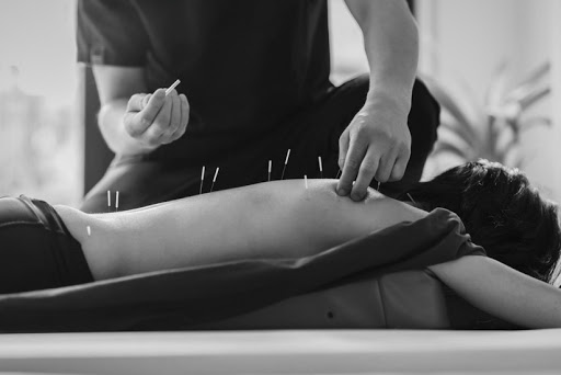 Copenhagen and Aarhus Acupuncture School