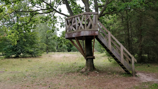 Egesletten