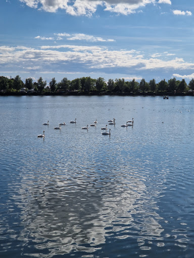 Fugleøen i Damhussøen