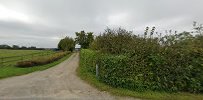 Guldbæk / Bitten