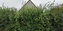 Kastanje hegn